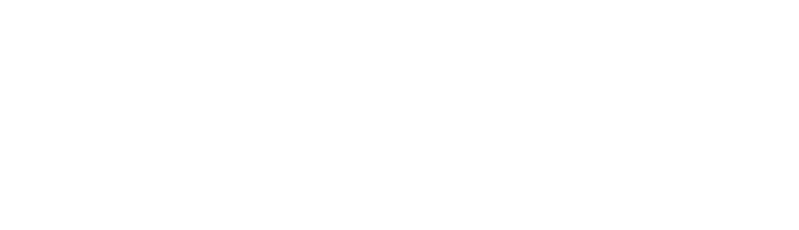 caresoft-2