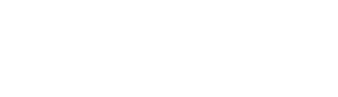 havina-2